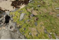 Photo of Mixed Los Angeles Textures